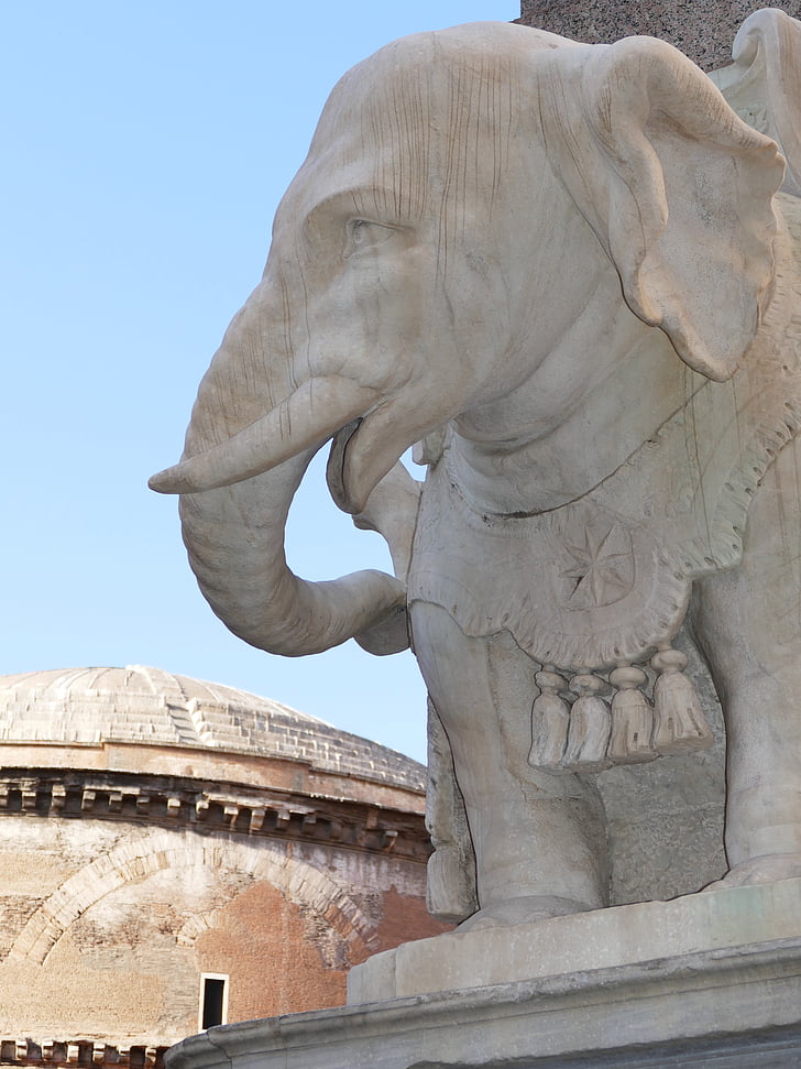 코끼리, 베 르, 로마, 돌 그림, ruesseltier, 조각