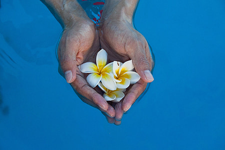 collection of hand, flowers, water, break, stability, narcissus