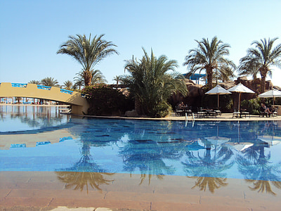 egypt, taba, desert, swimming pool, palm trees, holiday