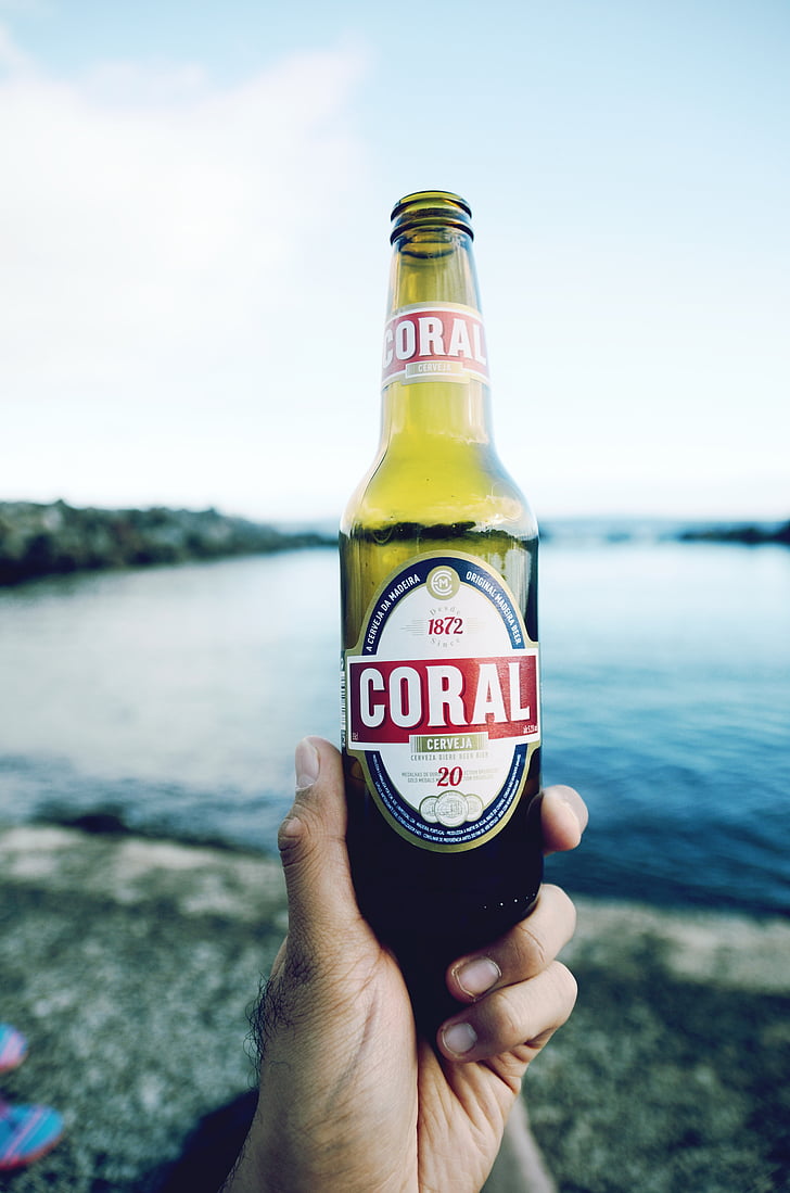 juomia, olut, cerveja, Coral, vesi, ihmiset, mies