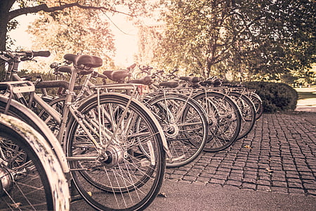 Велосипеды, Велосипеды, на открытом воздухе, виды спорта, Велоспорт, Стеллажи, булыжник