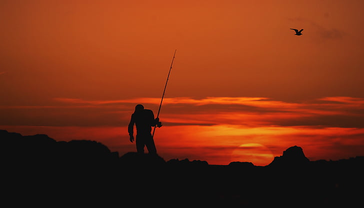 silhouette, person, holding, fishing, rod, sunset, people