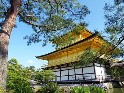 japan, kyoto prefecture, kinkaku, golden pavilion, shrine, historic site, muromachi period