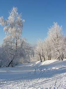 winter, landscape, trees, forest, snow, mountains, nature