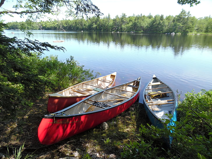 canoe, noi Scoţia, post vacant, Cabana, trei, natura, Lacul