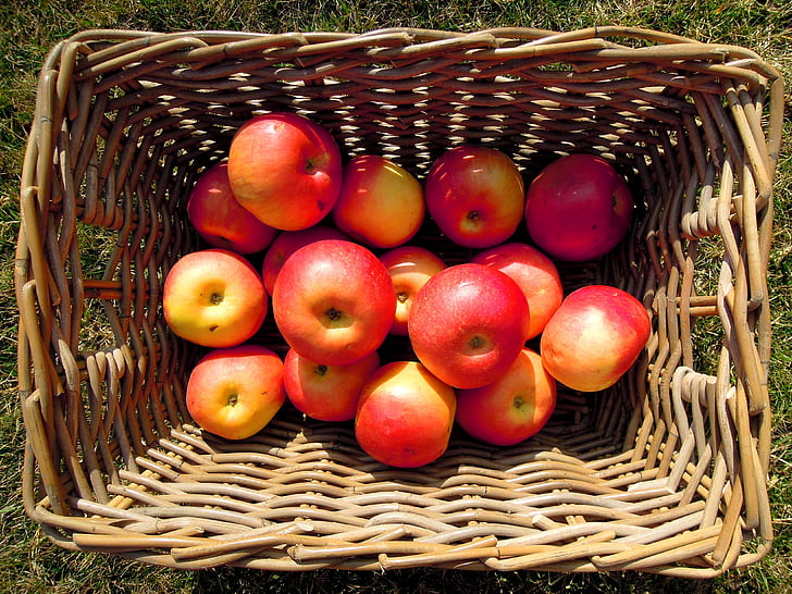 ābolu, augļi, grozs, sarkana, dzeltena, pārtikas produkti un dzērieni, veselīgu uzturu