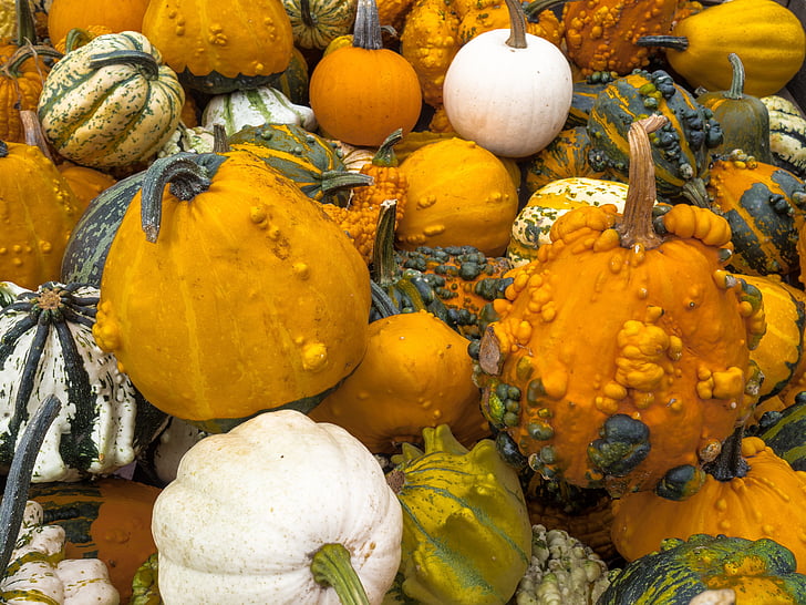zucca, autunno, zucca di Halloween, Halloween, decorazione di autunno, verdure, zucche decorative