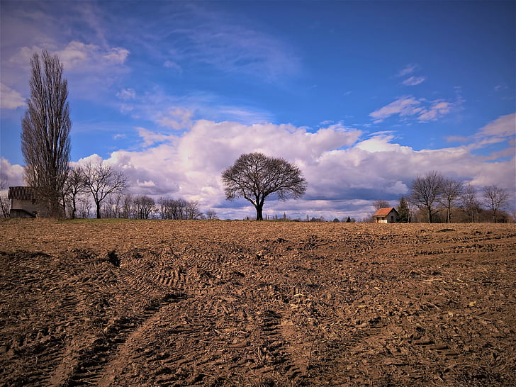 landscape, trees, sky, clouds, spring in air, cloud - sky, bare tree