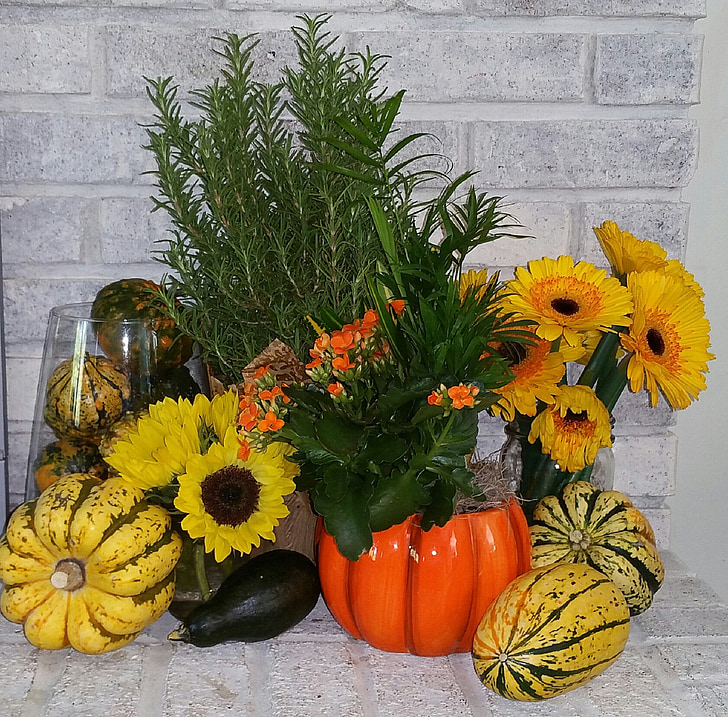 oktober, høst, efterår, Halloween, græskar, orange, sæson
