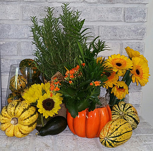 října, sklizeň, podzim, Halloween, dýně, oranžová, sezóny