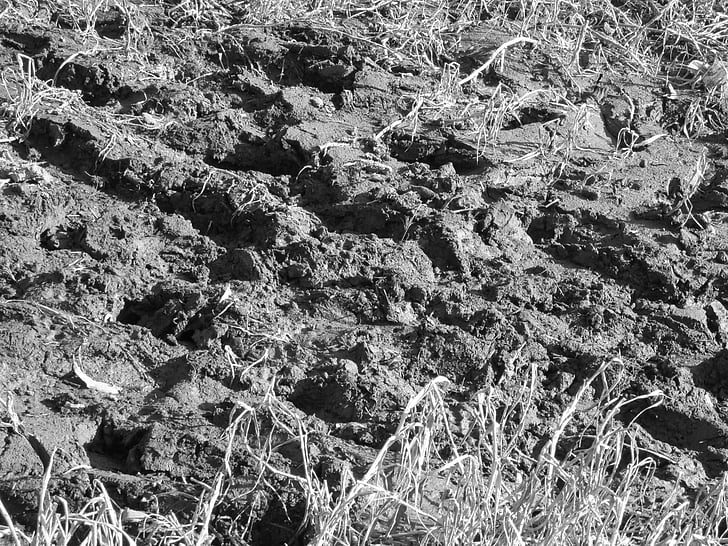 ground, mud, nature, soil, dirt, earth, land