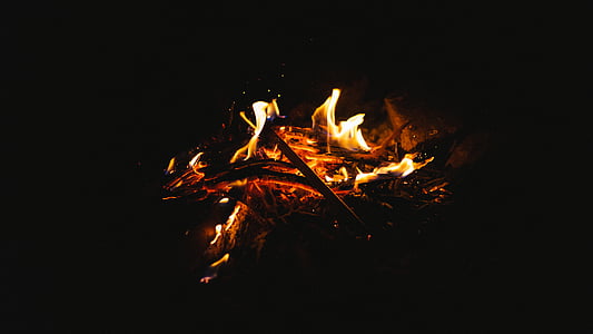 burning, wood, flame, heat - temperature, night, no people, campfire