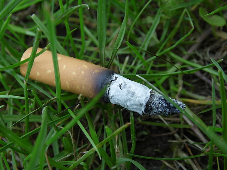 cigarette, nature, contraste, pollution, puissant