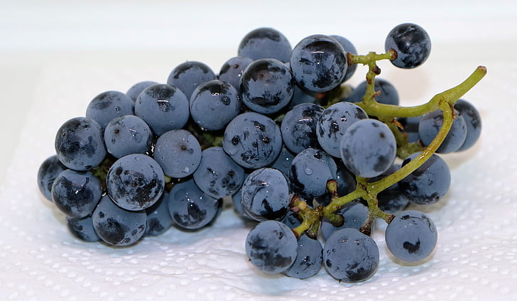 viinamarjad, sinine viinamarjad, puu, süüa, toidu, mustikas, värskuse