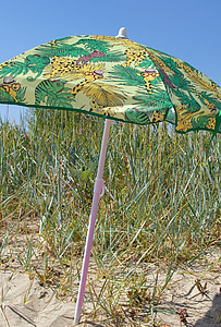 strand, zomer, zon, bescherming tegen de zon, parasol, vakantie, reed