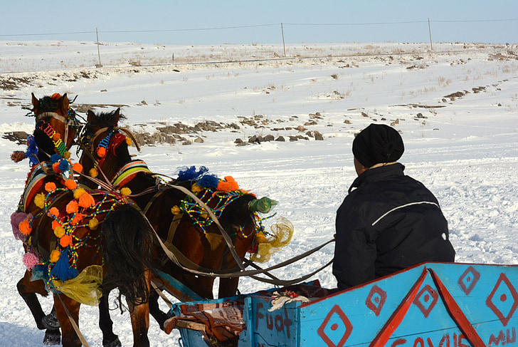 Llac, gel, els cavalls són, carruatges de cavall, Kars, viatges, paisatge