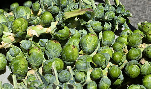 brussel sprouts, vegetable, food, green, healthy, fresh, vegetarian