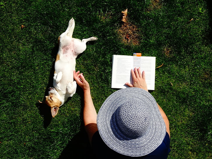 leggere, Doggy, giardino, rilassarsi, Dickey, cane, animali