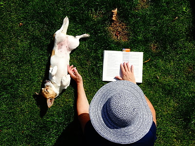 leer, Doggy, jardín, relajarse, Dicky, perro, animales