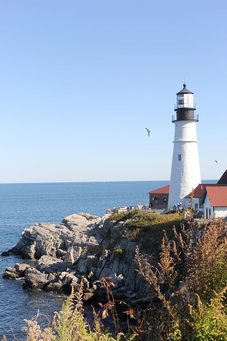 east coast, lighthouse, coast, coastline, landmark, maritime, landscape