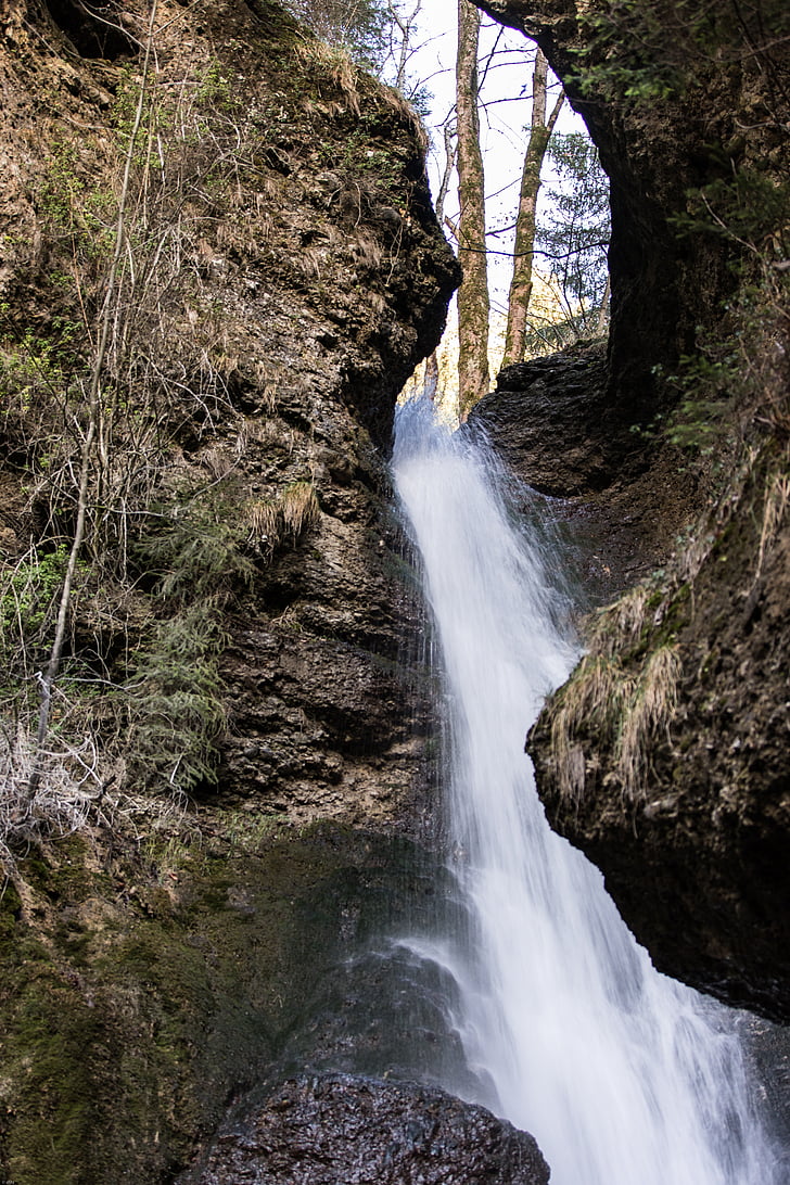cascada, cascades de l'ira cap a fora, bosc, Bach, arbres, natura, l'aigua