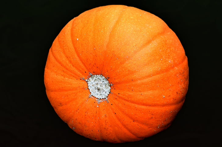 pumpkin, vegetables, food, eat, orange