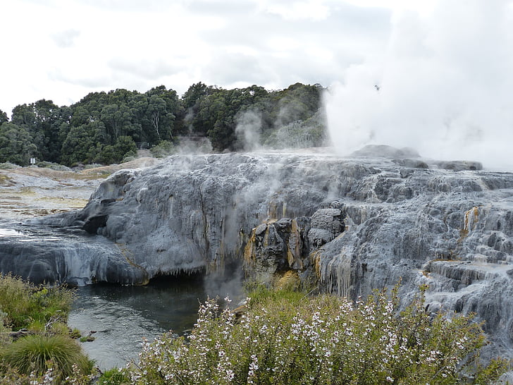 geyser, fountain, hot, new zealand, nature, landscape, volcanism