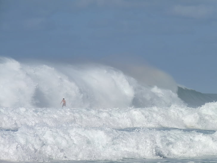 Hawaii, Surf, tenger, csendes-óceáni, óceán, szörfös, szörfdeszka