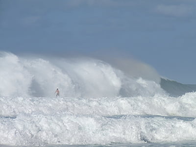 Hawaii, Fare surf, mare, Pacifico, oceano, surfista, tavola da surf