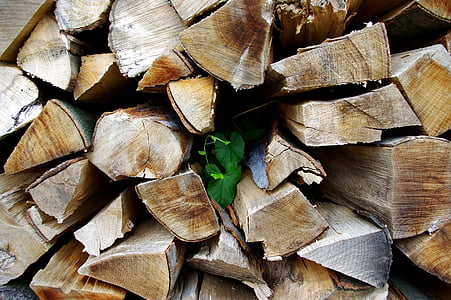 madeira, ventos de cerca em madeira, Divisão madeira, lenha, madeira - material, árvore, pilha