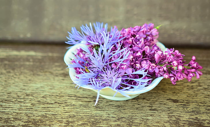 flowers, flower bowl, wood, tender, decoration, porcelain, lilac