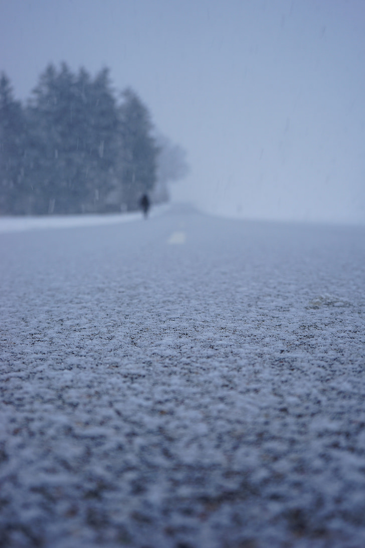 carretera, cobert de neu, nevades, flocs de neu, floc, Rufaga, tempesta d'hivern