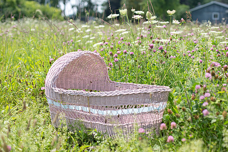 bayi bassinet, bassinet, merah muda, bunga-bunga liar, bayi, anak, musim semi