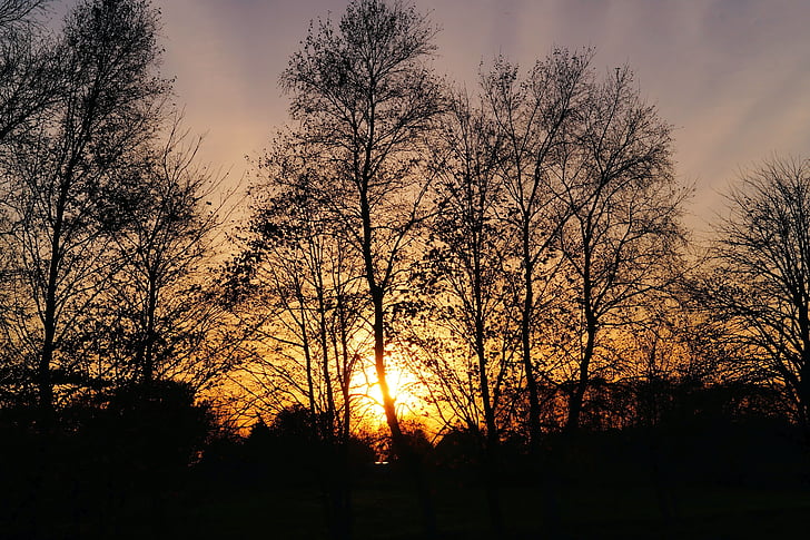 sunset, trees, late autumn, sky, evening sky, kahl, afterglow