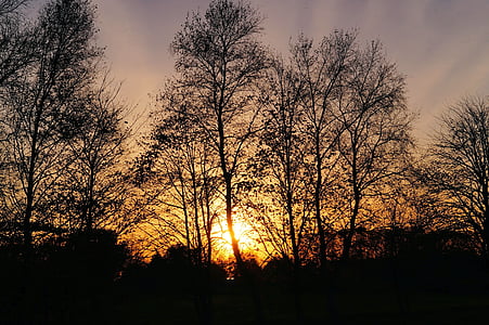 ηλιοβασίλεμα, δέντρα, αργά το φθινόπωρο, ουρανός, βραδινό ουρανό, Kahl, μεταλαμπή
