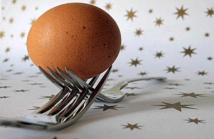 fork, egg, cutlery, food, origin of life, nutrition, frisch