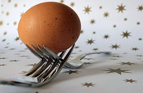 garpu, telur, alat pemotong, Makanan, asal usul kehidupan, nutrisi, Frisch