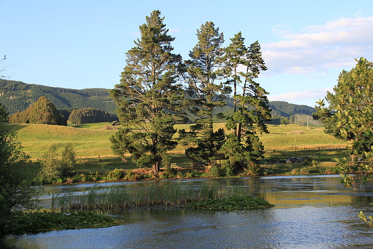 floden, vatten, dere, naturen, Nya Zeeland
