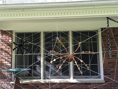 Halloween, arredamento, di fuori, esterno casa, Web, ragno, decorazione
