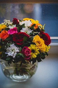 warna-warni, bunga, tanaman, alam, kelopak bunga, Jar, vas