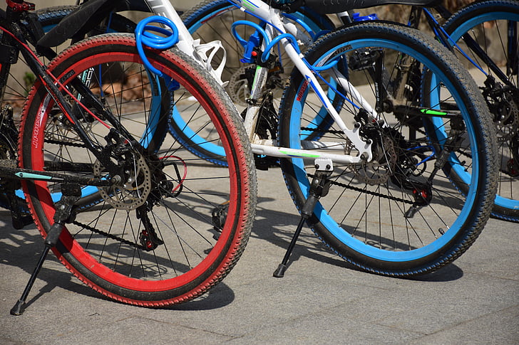 comunidad, bicicleta, Color