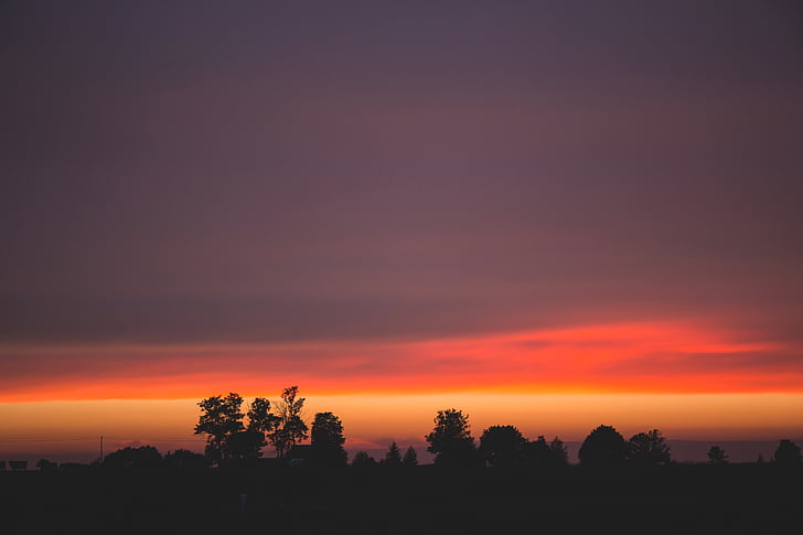 backlit, dark, dawn, dusk, orange sky, silhouettes, sky