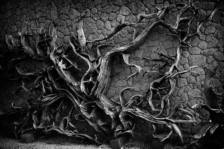 mort, fusta, escorça, mur de pedra, la foscor, illa de Jeju, blanc i negre
