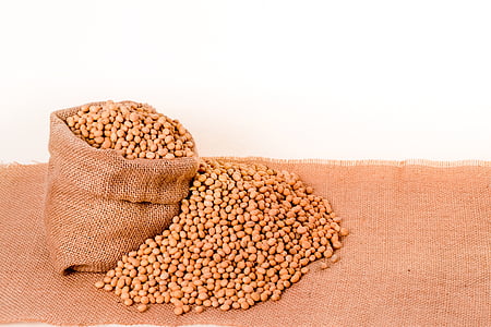 soybeans, plants, seeds, bag, burlap, grain, oil