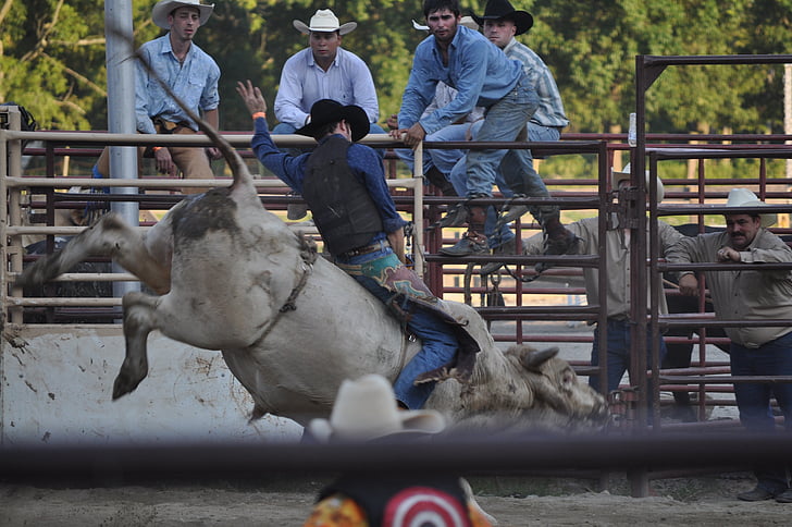 Rodeo, Ranch, vzpiera, kovboj, Západné, Texas, lano