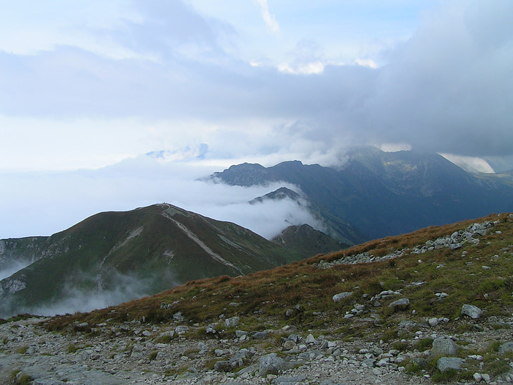 montagne, il percorso, sentiero, vista, la nebbia