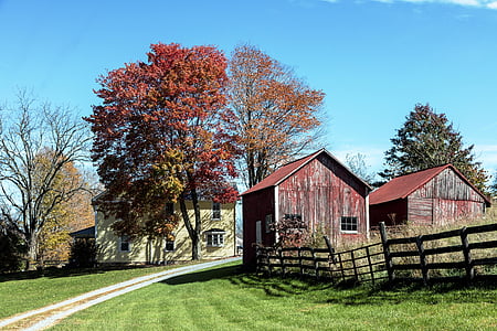 farm, nature, farmhouse, autumn, fence, barn, stall