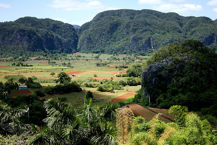 údolí Viñales, Kuba, krajina, Příroda, závod, stromy, louka