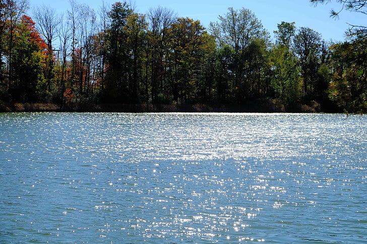 Lago, acqua dolce, luce del sole, colori di autunno, natura