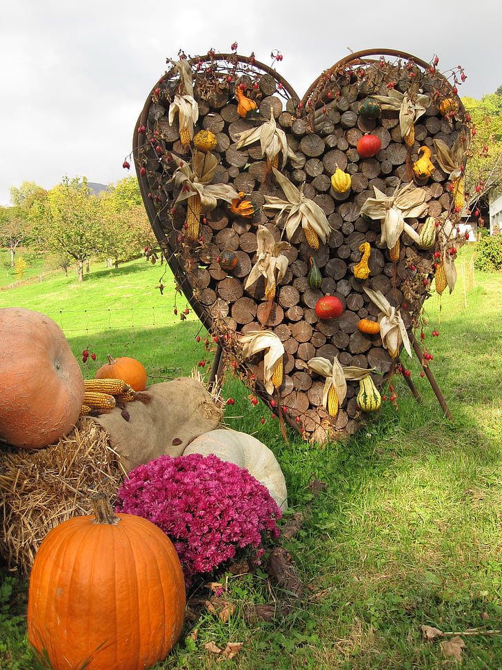 pumpkin, autumn, autumn decoration, chrysanthemums, thanksgiving, vegetables, colorful